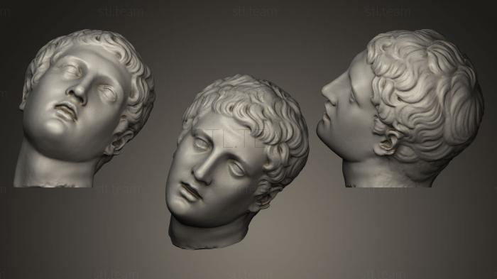 3D модель Мужская голова Рим (STL)